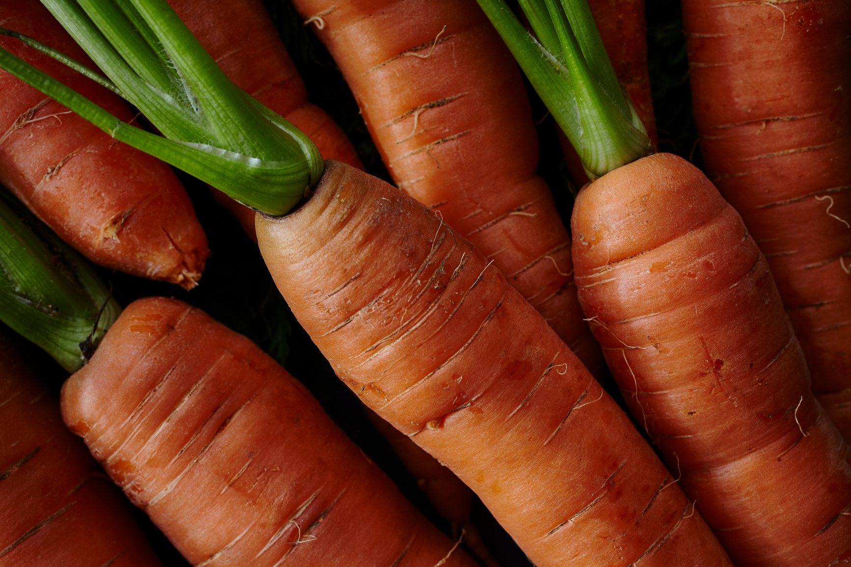 9 in 10 employees report<br>results in 90 days