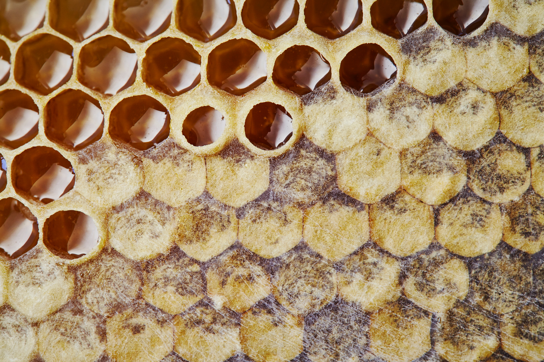 45% reduction in annual<br>healthcare costs